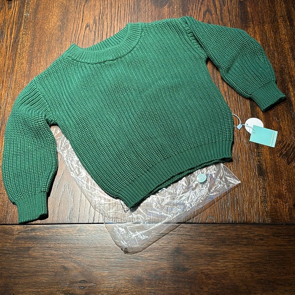 🆕 🌲 Gigi and Max ‘Forest’ Sweater in 2T/3T - Picture 3 of 4